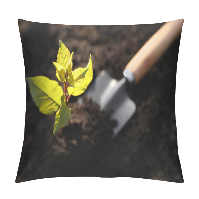 Personality  Seedling Growing In Soil And Gardening Shovel Outdoors, Closeup. Planting Tree Pillow Covers