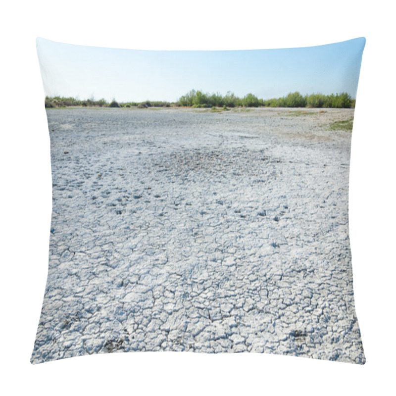 Personality  Steppe Saline Soils. Saline  Salt  In Salt.  Steppe  Prairie  Ve Pillow Covers