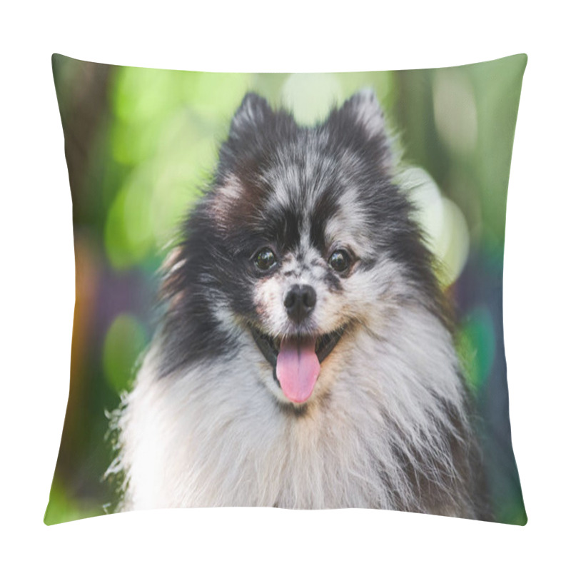 Personality  Pomeranian Spitz Dog Close Up Portrait, Green Garden Background. Cute Pomeranian Puppy On Walk. Funny Family Friendly Spitz Pom Dog. Pillow Covers