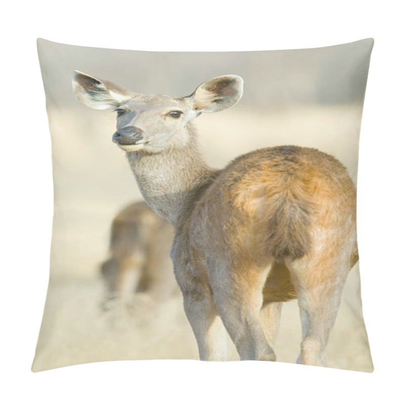 Personality  Wild Sambar Deer, Back View  Pillow Covers