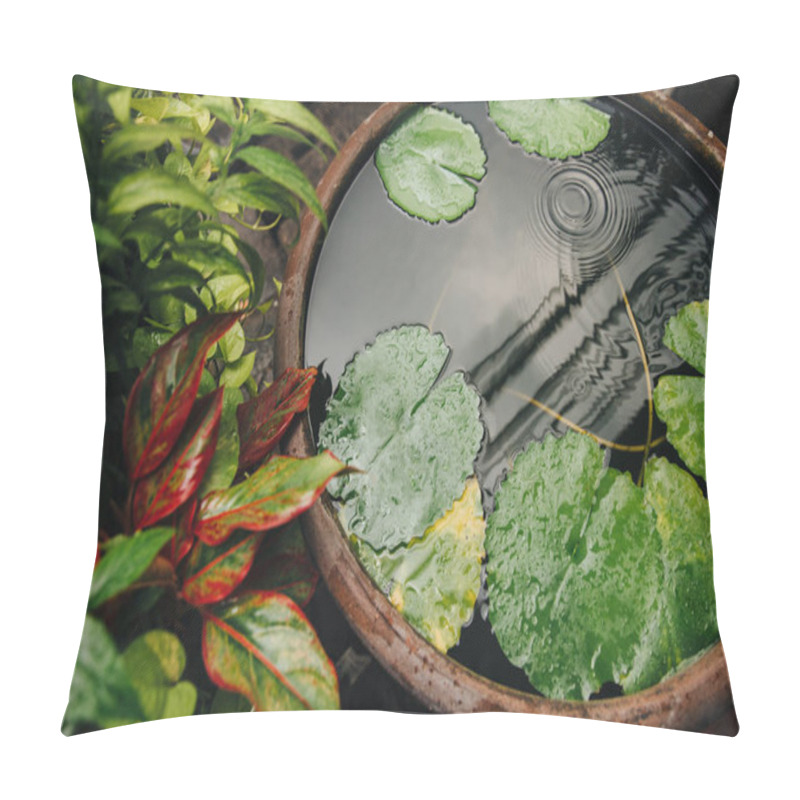 Personality  Close-up View Of Beautiful Green Leaves In Water, Bangkok, Thailand Pillow Covers