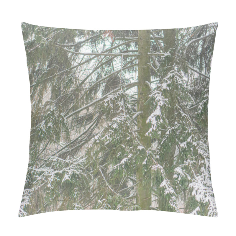 Personality  Image Of Snow-covered Deciduous Trees During Winter, With Overcast Sky And Muted Color Palette Candid And Documentary Style Pillow Covers