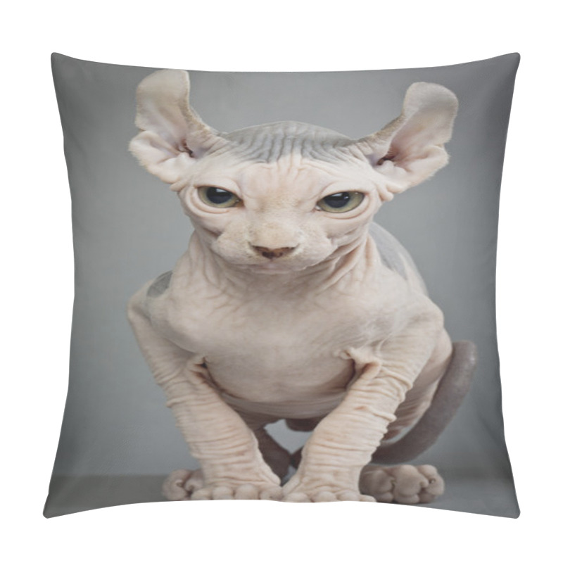 Personality  Hairless Cat With Wrinkles Pillow Covers