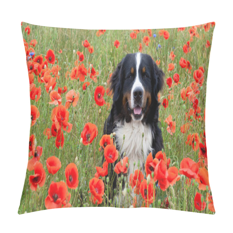 Personality  Close-up View Of Beautiful Wild Poppy Flowers Pillow Covers