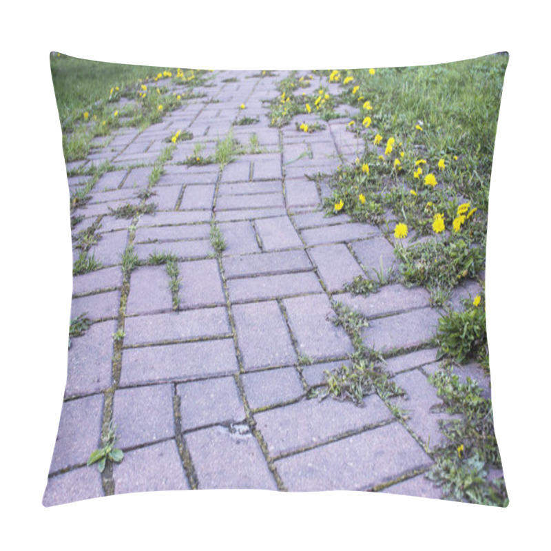 Personality  Summer Landscape With Pathway Through Yellow Dandelion Field. Bright Summer Feeling In Rural Road. Wild Flowers Blooming Pillow Covers