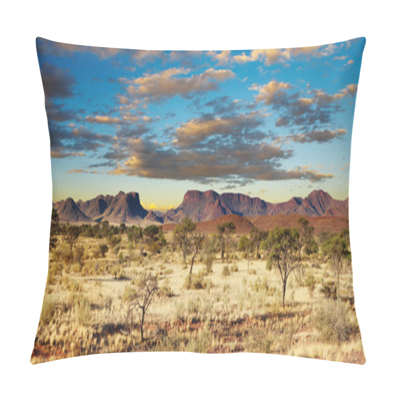 Personality  Kalahari Desert, Namibia Pillow Covers