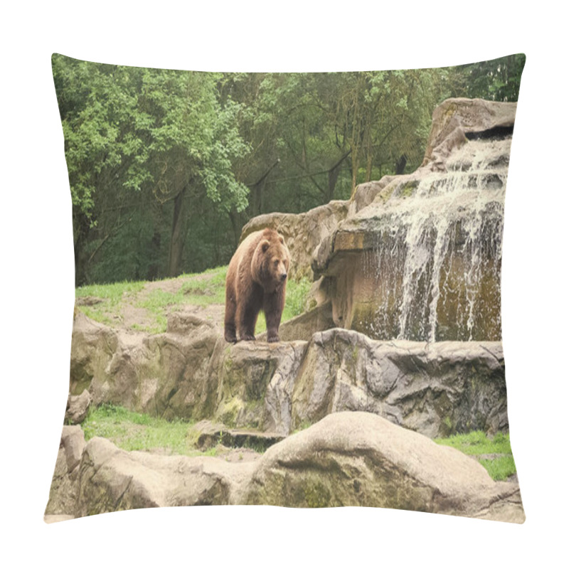 Personality  Cute Big Bear Stony Landscape Nature Background. Zoo Concept. Animal Wild Life. Adult Brown Bear In Natural Environment. Animal Rights. Friendly Brown Bear Walking In Zoo Pillow Covers