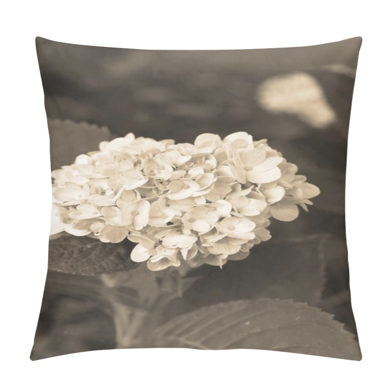 Personality  Hydrangeas Flowers Pillow Covers