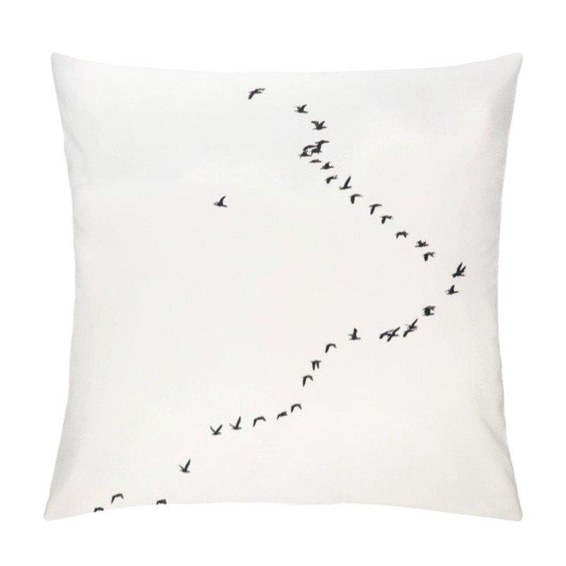 Personality  Migratory Birds In The Sky Pillow Covers