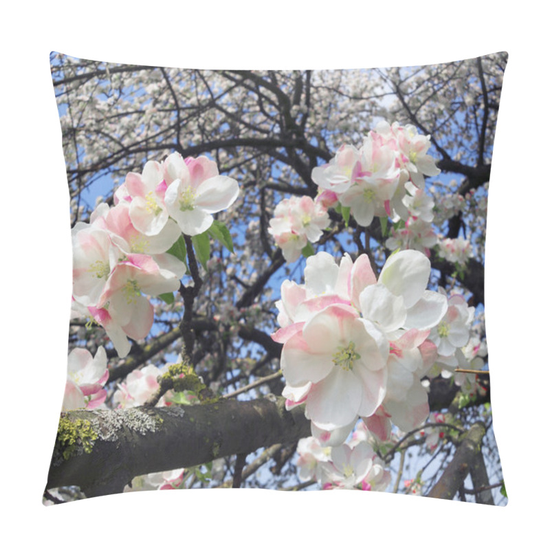 Personality  Gentle Apple Blossoms Pillow Covers