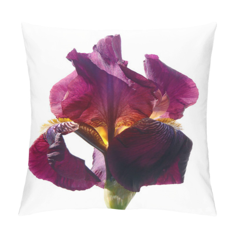 Personality  Bearded Violet Iris On A White Background, Macro. Pillow Covers