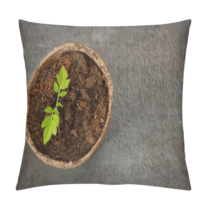 Personality  Biodegradable Peat Moss Pot With Tomato Seedlings On A Textured  Pillow Covers