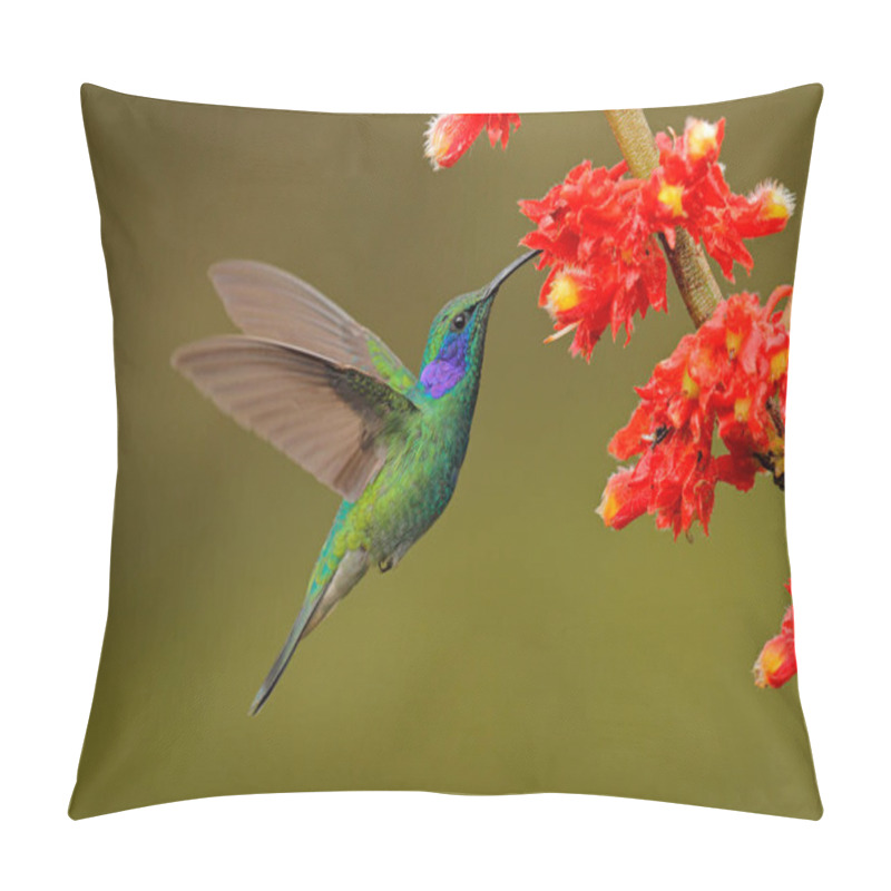 Personality  Hummingbird With Red Flowers In Forest Habitat. Green Violet-ear, Colibri Thalassinus, Flying In The Nature Tropical Wood Habitat, Tapanti NP, Costa Rica. Wildlife Scene From Jungle. Pillow Covers