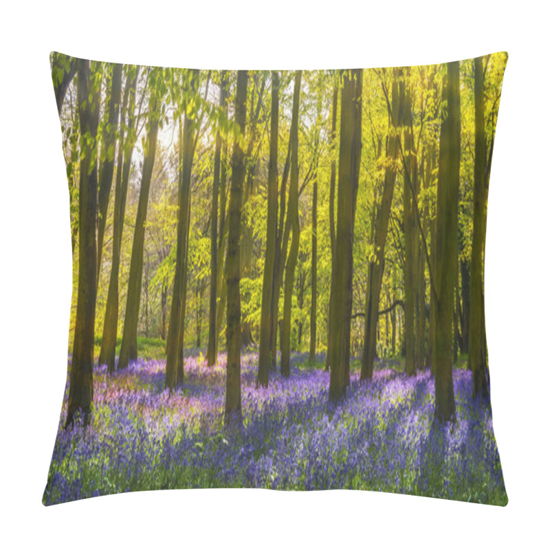 Personality  Bluebell Woods - Sunlight Casts Shadows Across Purple Flowers Pillow Covers