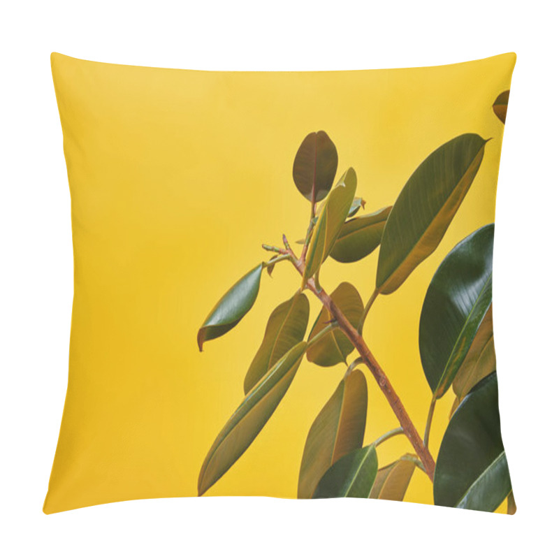 Personality  Close Up Of Ficus Big Green Leaves Isolated On Yellow Pillow Covers