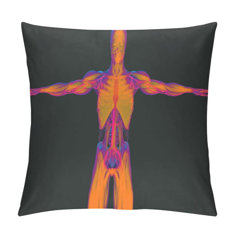 Personality  Human Anatomy Model Pillow Covers