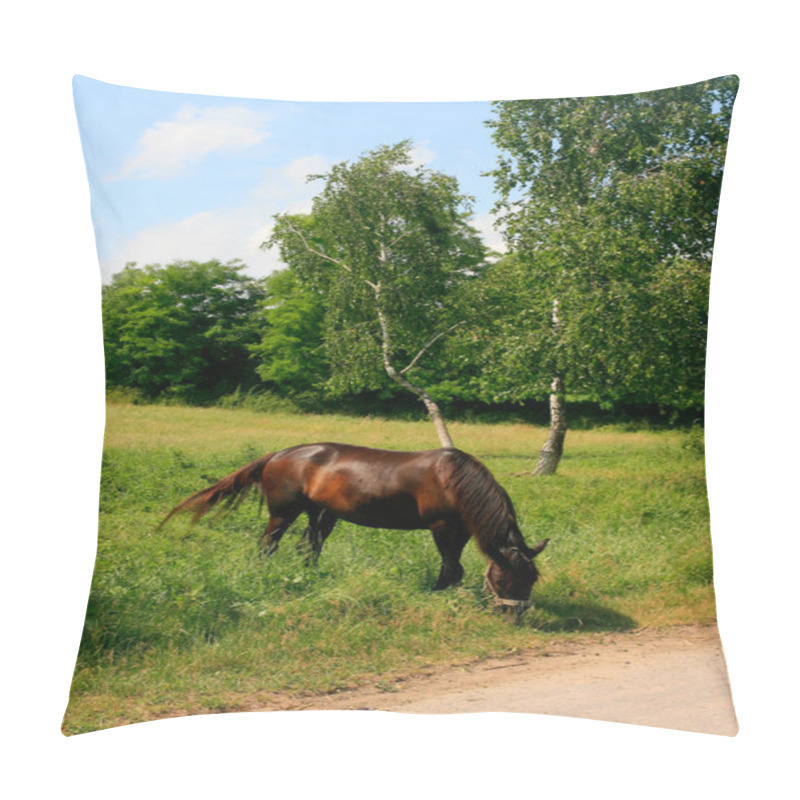 Personality  Horse In The Meadow Pillow Covers