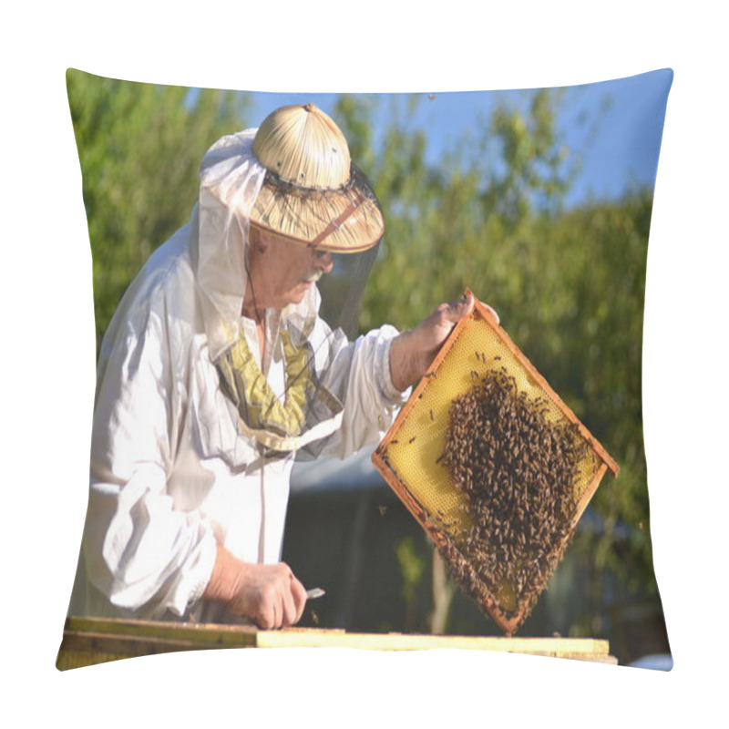 Personality  Experienced Senior Beekeeper Making Inspection In Apiary After Summer Season Pillow Covers