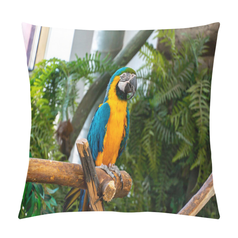 Personality  Blue And Yellow Macaw Parrot With A Huge Beak Looks At The Camera Close-up Pillow Covers