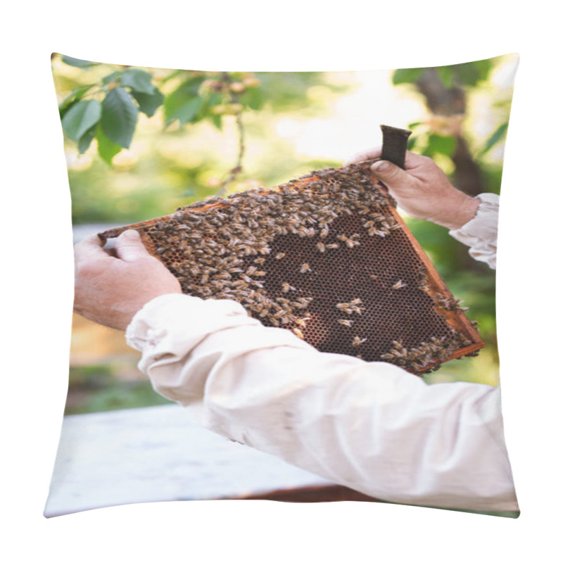 Personality  Beekeeper Working In Apiary Pillow Covers