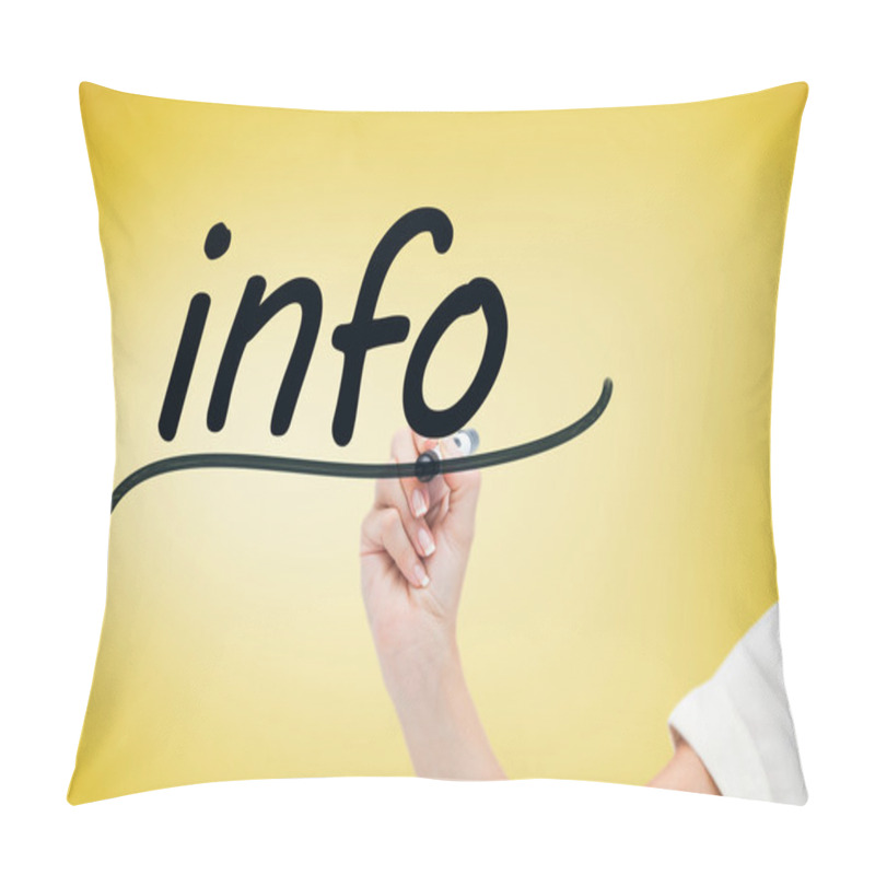 Personality  Businesswoman Writing Word Info Pillow Covers