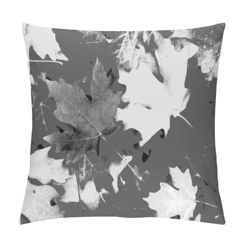 Personality  Autumn Nature Black And White Grayscale Background Pillow Covers