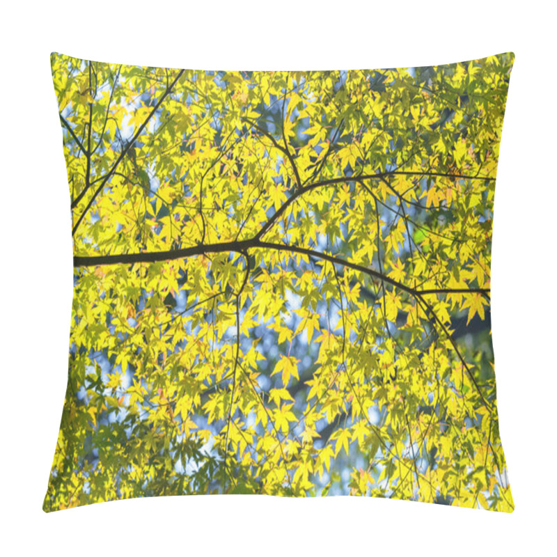 Personality  Natural Background Depicting A Branch Of Japanese Momiji Maple Tree In Autumn With Yellow Leaves And Foliages All Over Illuminated By A Backlight Sun Against A Shallow Depth Of Field And Bokeh Balls. Pillow Covers