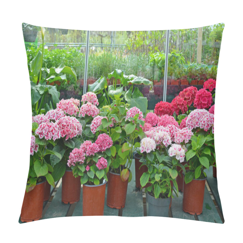 Personality  Hydrangeas In Garden Shop Pillow Covers