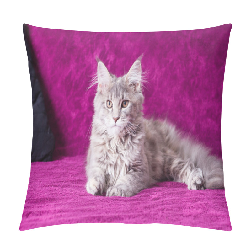 Personality  Young Maine Coon Cat Pillow Covers