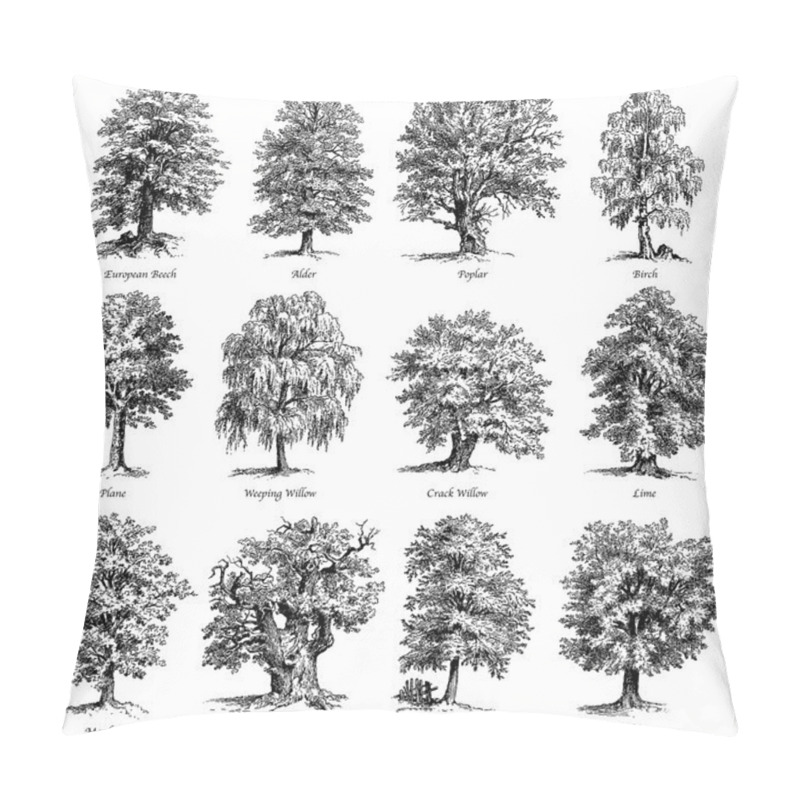 Personality  Common Trees Vector Illustrations Set Pillow Covers