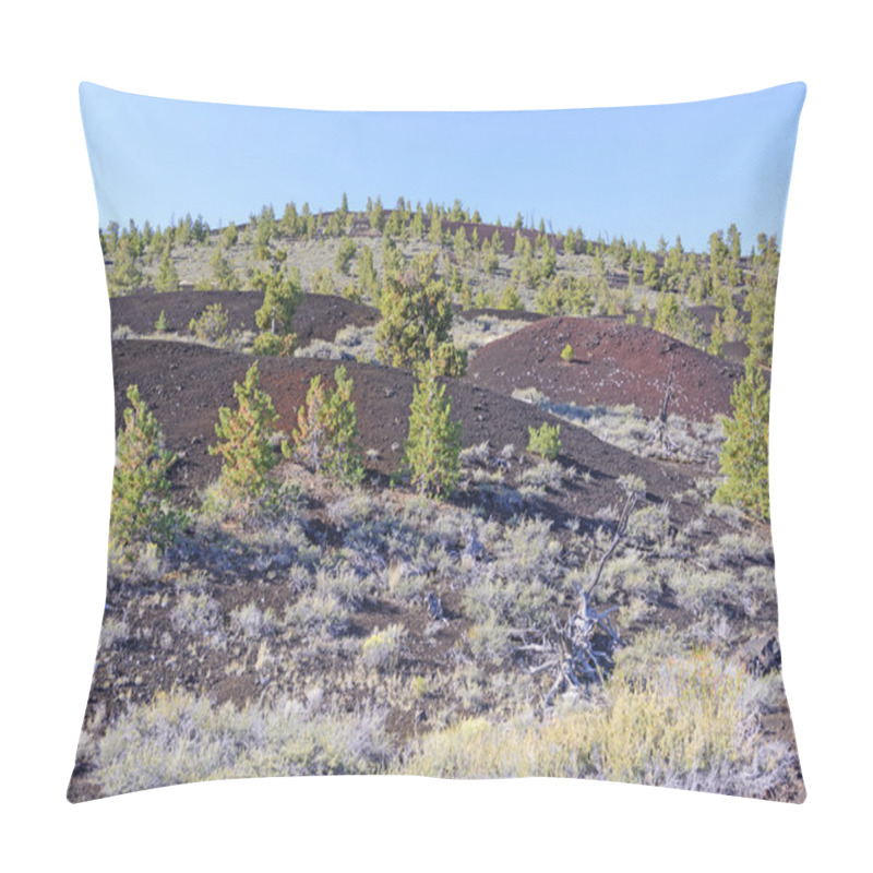 Personality  New Vegetation On A Volcanic Landscape Pillow Covers