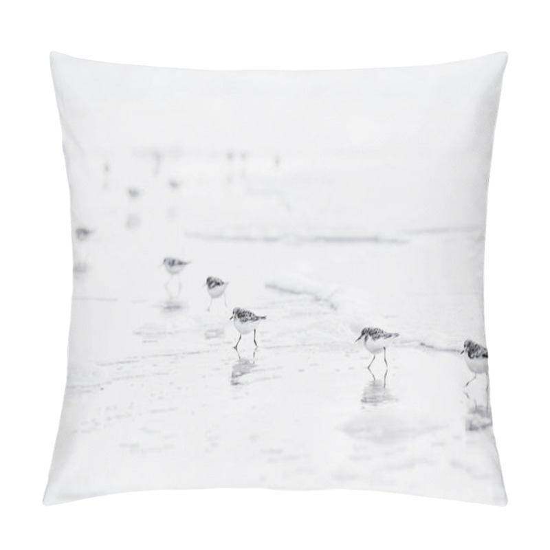 Personality  Group Of Sanderling Birds On The Beach Pillow Covers