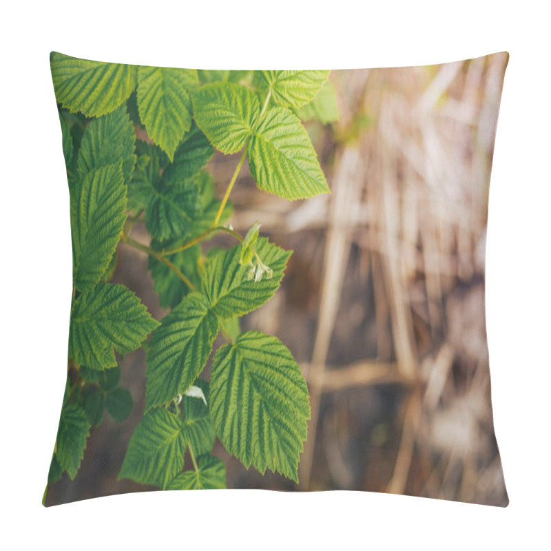 Personality  Raspberry Leaves, Green Wallpaper Pillow Covers