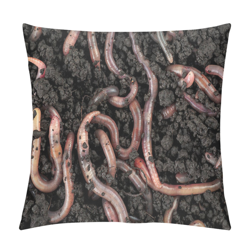 Personality  Top View Of Earthworms In Black Soil As Background. Garden Compost And Worms.  Pillow Covers