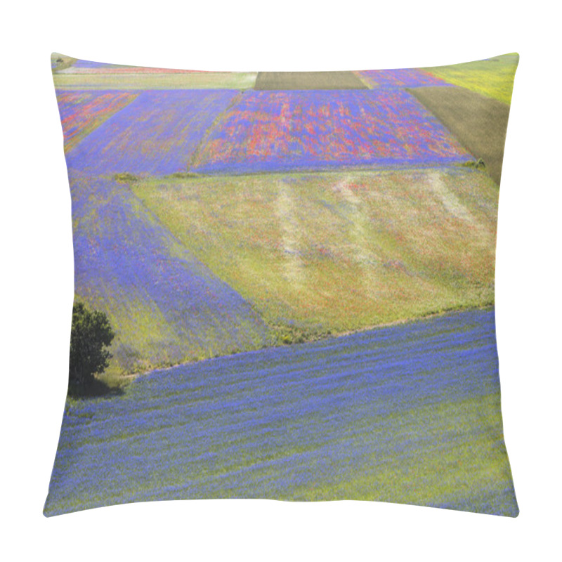 Personality  Landscape Of The Plain Of Castelluccio In Italy Pillow Covers