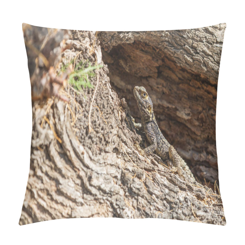 Personality  A Large Wild Lizard On A Rock. Pillow Covers