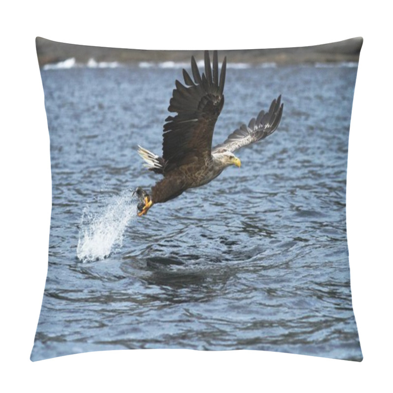 Personality  White-tailed Eagle In Flight, Eagle With A Fish Which Has Been Just Plucked From The Water, Norway,Haliaeetus Albicilla, Eagle With A Fish Flies Over A Sea, Majestic Sea Eagle, Wildlife Scene Pillow Covers