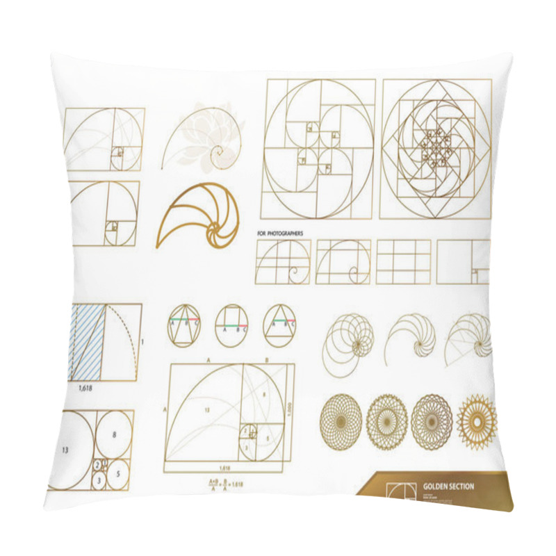 Personality  Golden Ratio For Creative Design Vector Illustration. Pillow Covers