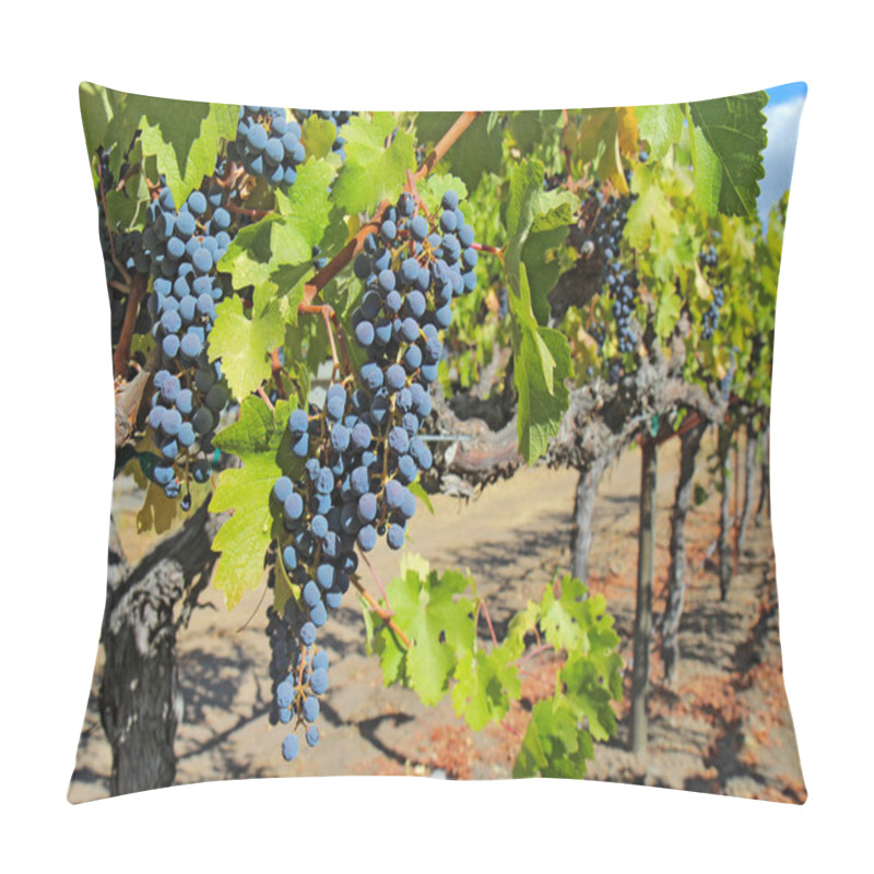 Personality  Grapes On The Vine In The Napa Valley Of California Pillow Covers