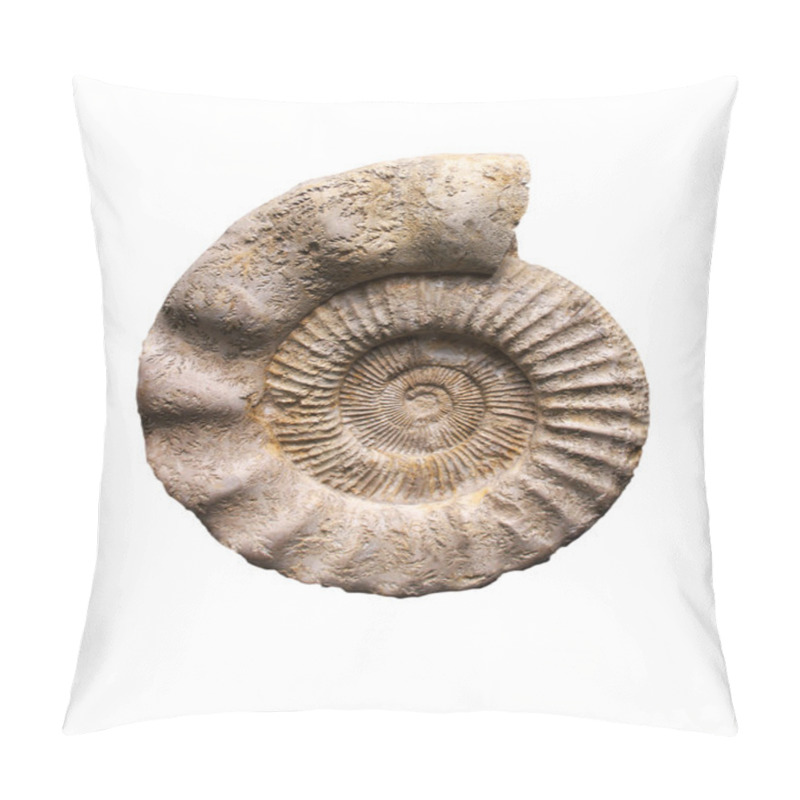 Personality  Ammonite Pillow Covers