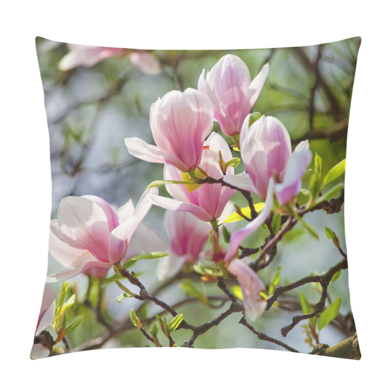 Personality  Closeup Of Magnolia Flower At Blossom  Pillow Covers