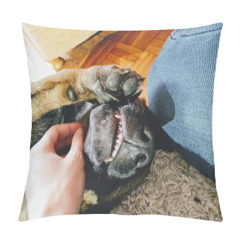 Personality  German Shepherd Dog Young Puppy Playing With Human Hand. Slovakia Pillow Covers