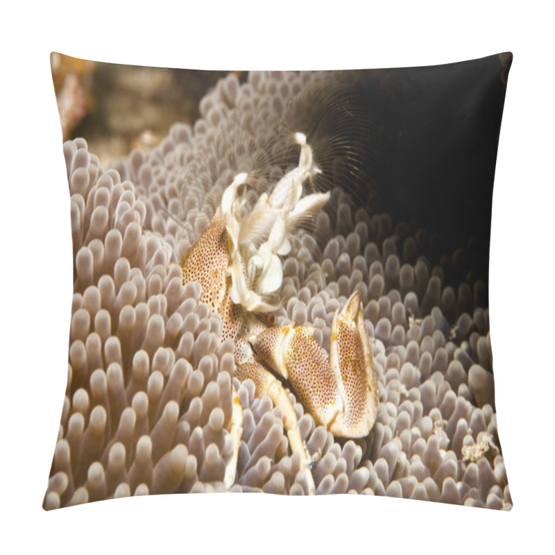 Personality  Greedy In The Ocean Current Pillow Covers