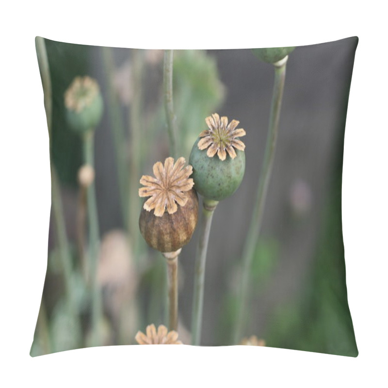 Personality  Couple Of Poppy Plant Pillow Covers