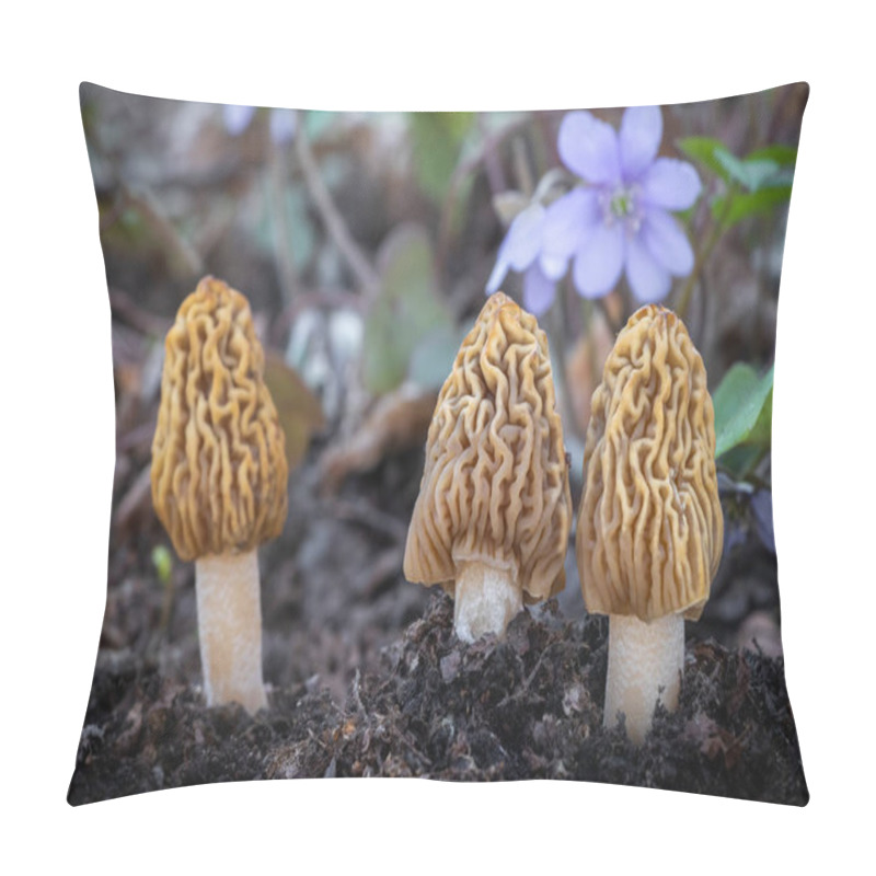 Personality  Detail Shot Of Three Verpa Bohemica - Edible And Delicious Mushroom Commonly Known As Early Morel Or Wrinkled Thimble-cap. Czech Republic, Europe. Pillow Covers