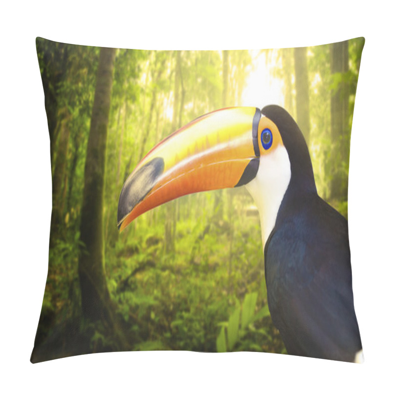 Personality  Toucan Pillow Covers