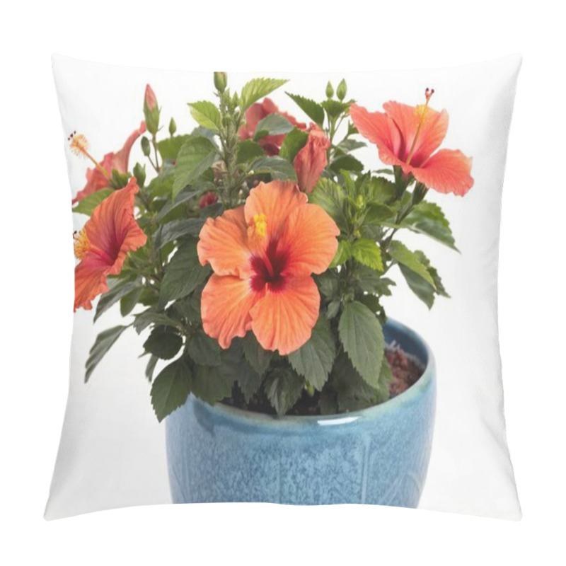 Personality  A Vibrant Arrangement Of A Hibiscus Plant (Hibiscus Rosa-sinensis) Featuring Its Large, Radiant Blooms In Shades Of Fiery Red And Orange. The Plant Is Displayed In A Textured Cobalt Blue Ceramic Pot That Adds A Bold And Tropical Touch To The Composit Pillow Covers