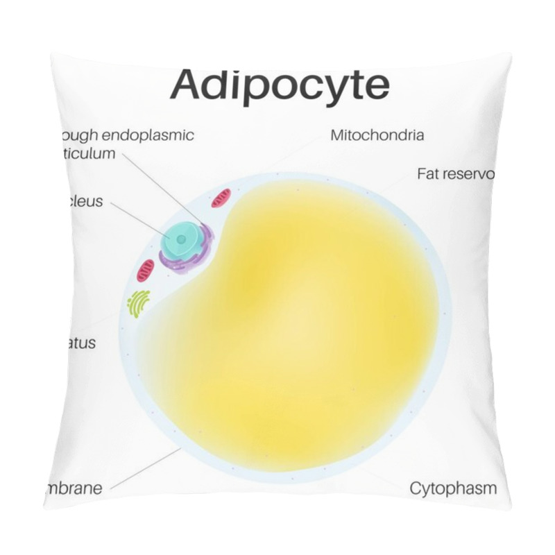 Personality  Fat Cell In Human Body. Pillow Covers