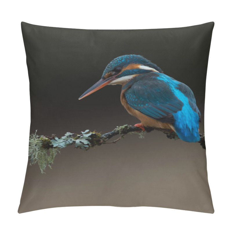 Personality  Kingfisher (Alcedo Atthis) Pillow Covers