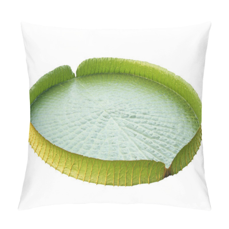 Personality  Amazon Lily Pad (Victoria Regia) Isolated On White Pillow Covers